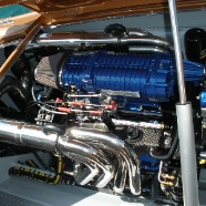 CAT36_002.jpg