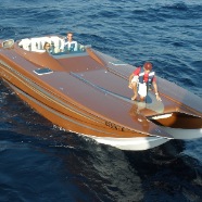 CAT36_004.jpg